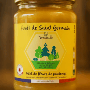 Miel de printemps, forêt de Saint Germain, 500gr