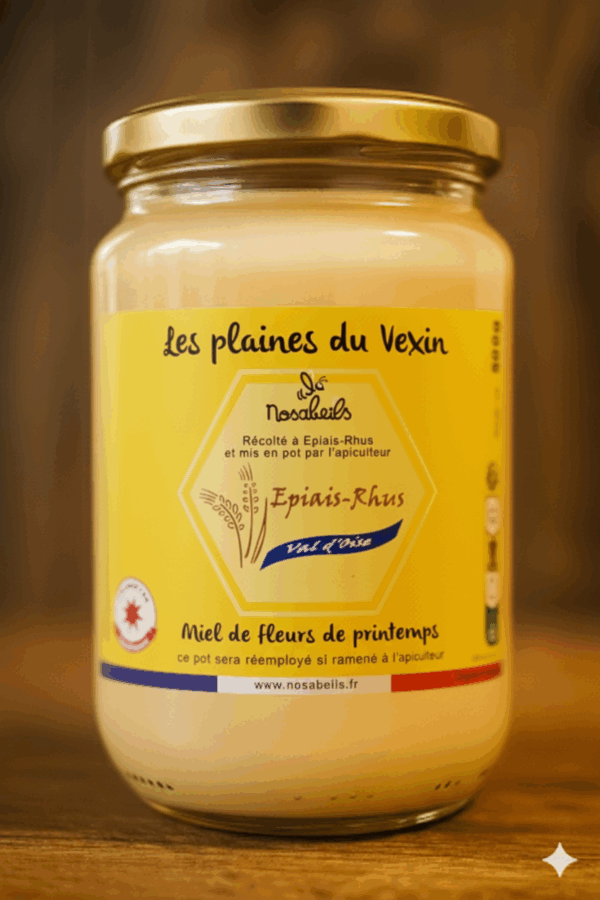 Miel de printemps, Epiais Rhus, 500gr